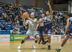 Medipolis SC Jena Eisbaeren Bremerhaven 10102021 00027